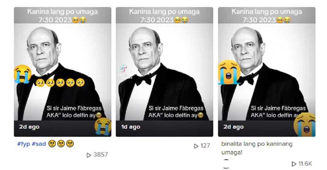 Screenshot from TikTok Screenshot from TikTok