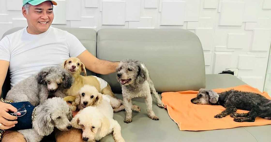 John Arcilla grieves death of his dog: “You could have been 18 years old next year” John Arcilla grieves death of his dog: “You could have been 18 years old next year”