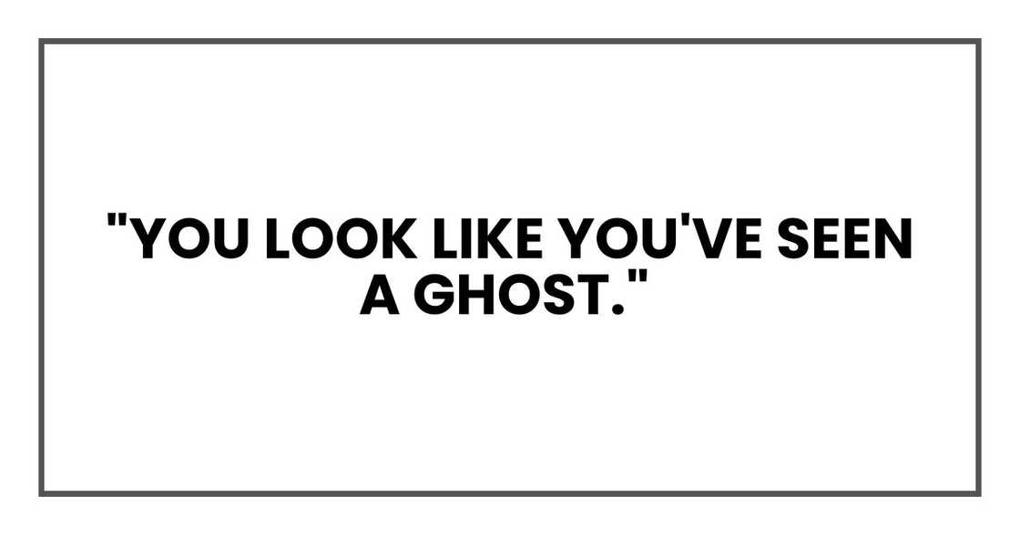 You look like you've seen a ghost