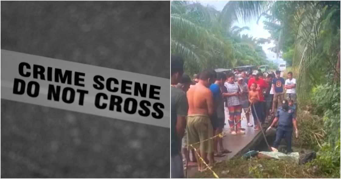 Unang Balita/GMA-7/GMA Integrated News on YouTube
Mark D'aiuto Unang Balita/GMA-7/GMA Integrated News on YouTube
Mark D'aiuto