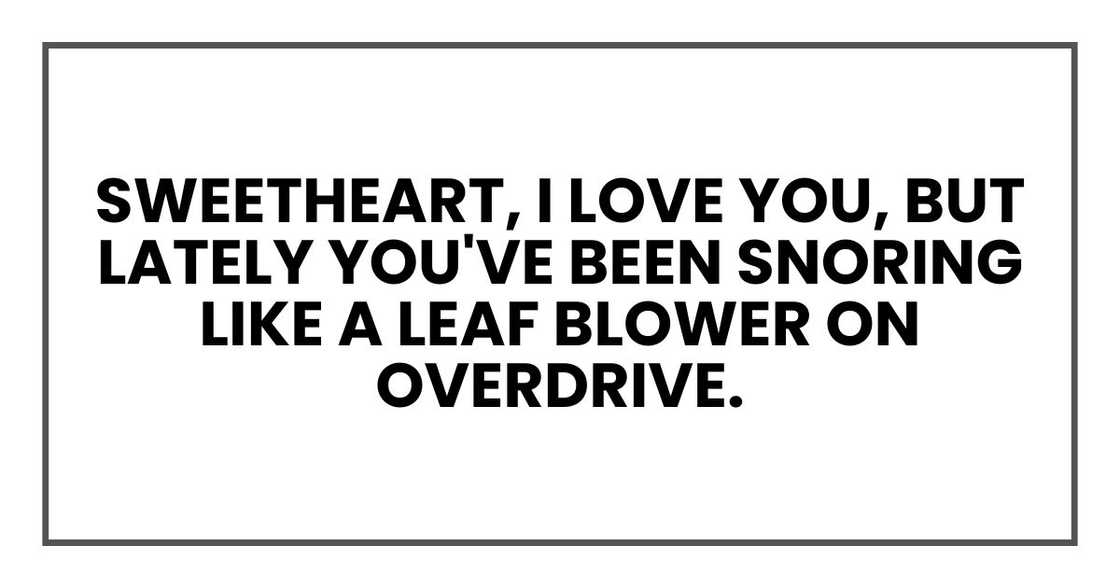 Sweetheart, I love you, but lately you've been snoring like a leaf blower on overdrive. Sweetheart, I love you, but lately you've been snoring like a leaf blower on overdrive.