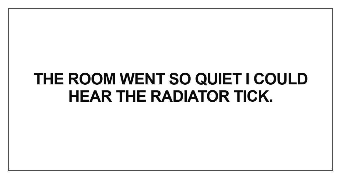 The room went so quiet I could hear the radiator The room went so quiet I could hear the radiator