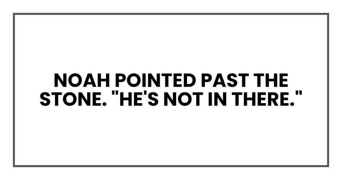 Noah pointed past the stone. "He's not in there."