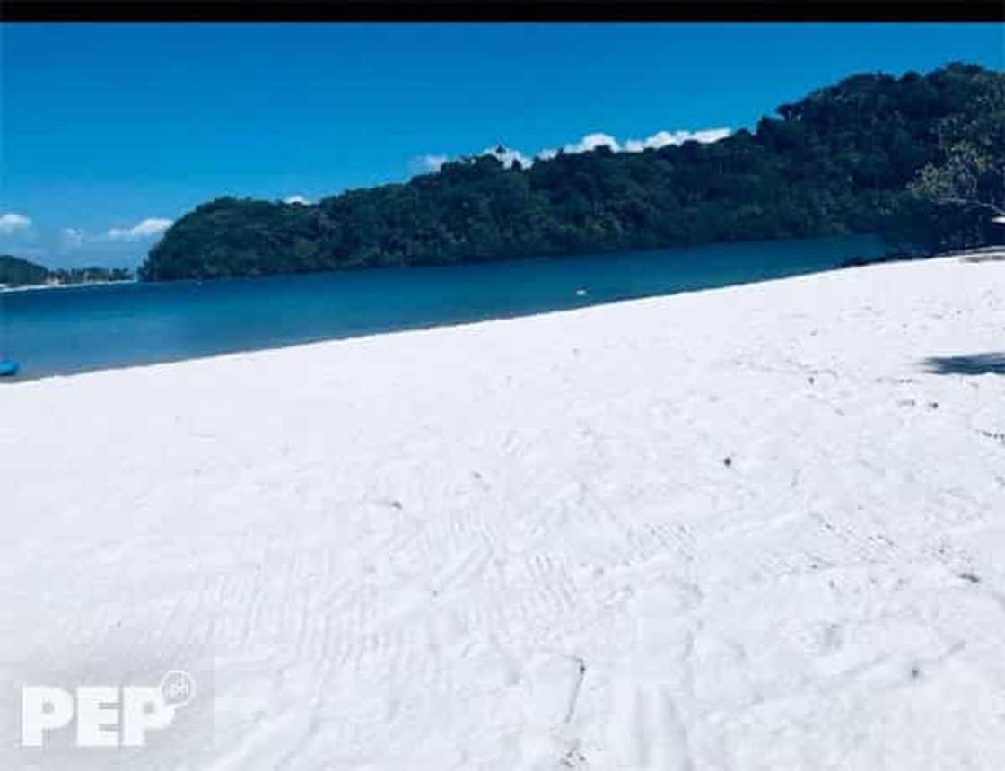 Sobrang yaman talaga! Willie Revillame, bumili ng mala-Amanpulo beach resort sa Puerto Galera Sobrang yaman talaga! Willie Revillame, bumili ng mala-Amanpulo beach resort sa Puerto Galera