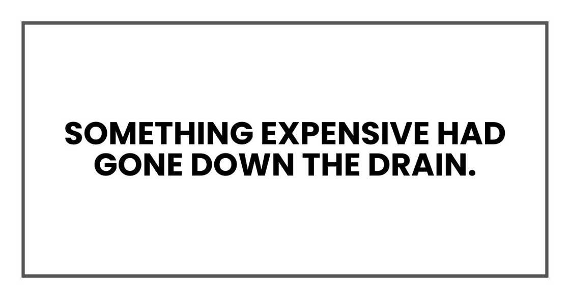 Something expensive had gone down the drain Something expensive had gone down the drain