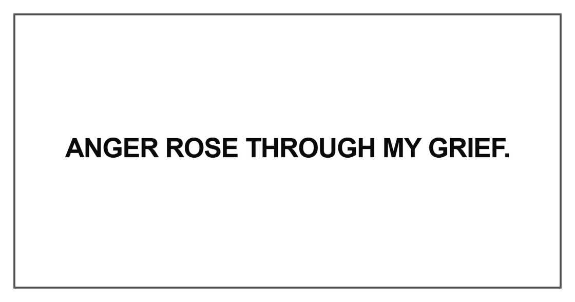 Anger rose through my grie Anger rose through my grie