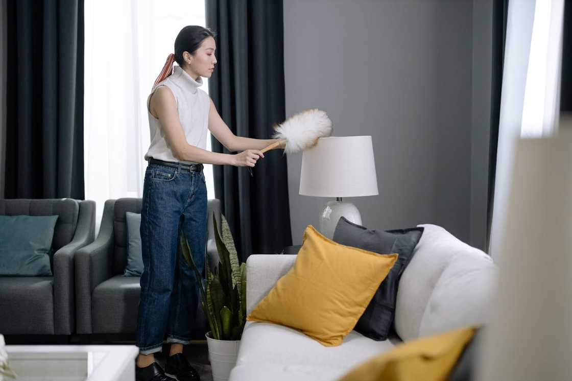 A woman dusts a table lamp in a tidy living room.