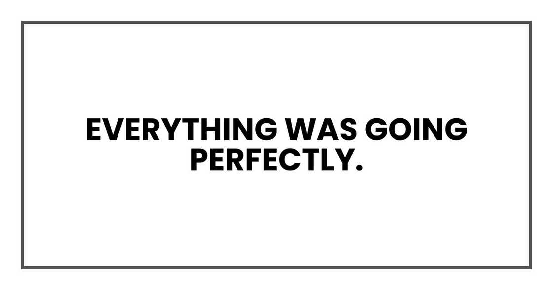 Everything was going perfectly.