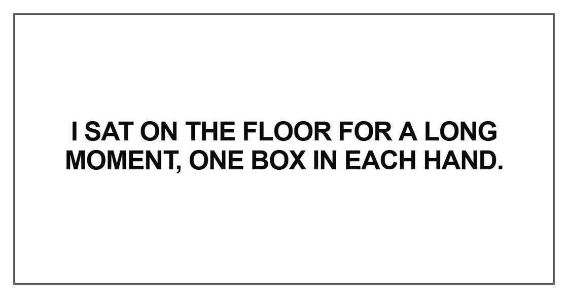 I sat on the floor for a long moment, one box in each hand