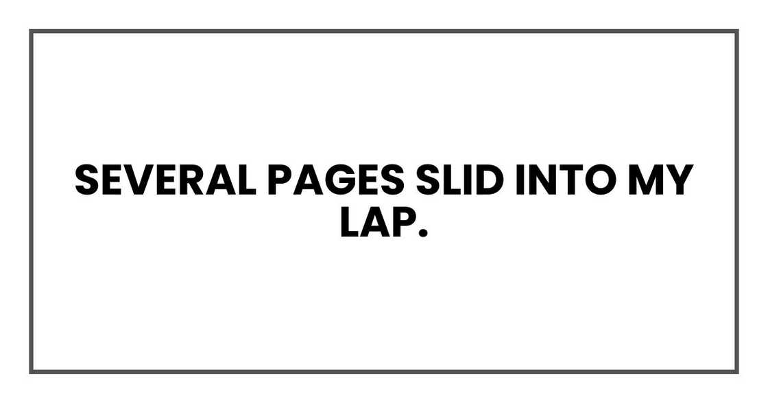 Several pages slid into my lap. Several pages slid into my lap.