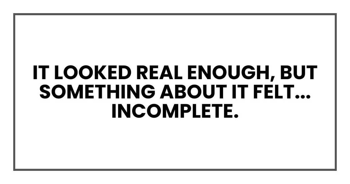 It looked real enough, but something about it felt... incomplete. It looked real enough, but something about it felt... incomplete.