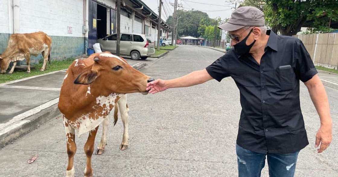 Walden Bello, inaresto dahil sa cyber libel; warrant laban sa dating VP candidate, inisyu ng Davao City RTC Walden Bello, inaresto dahil sa cyber libel; warrant laban sa dating VP candidate, inisyu ng Davao City RTC