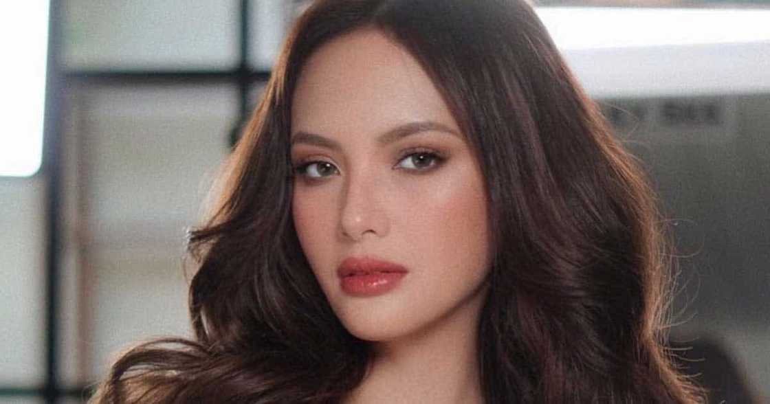 Ellen Adarna, niresbakan netizen na nagkomentong puro inuman pinu-post niya dati Ellen Adarna, niresbakan netizen na nagkomentong puro inuman pinu-post niya dati
