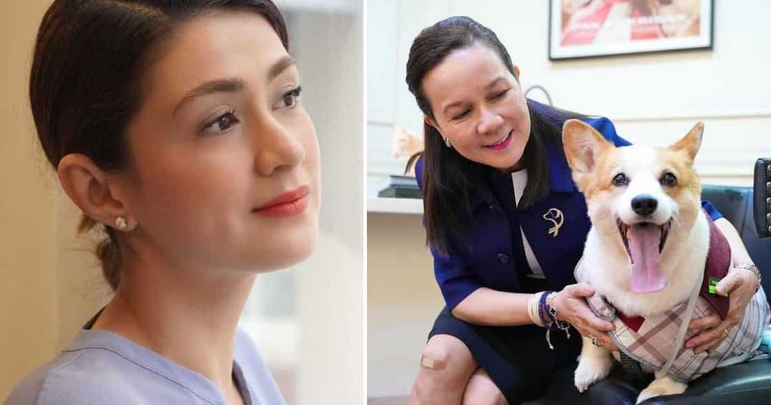 Carla Abellana shares screenshot of convo with Sen. Grace Poe about revised Animal Welfare Act Carla Abellana shares screenshot of convo with Sen. Grace Poe about revised Animal Welfare Act