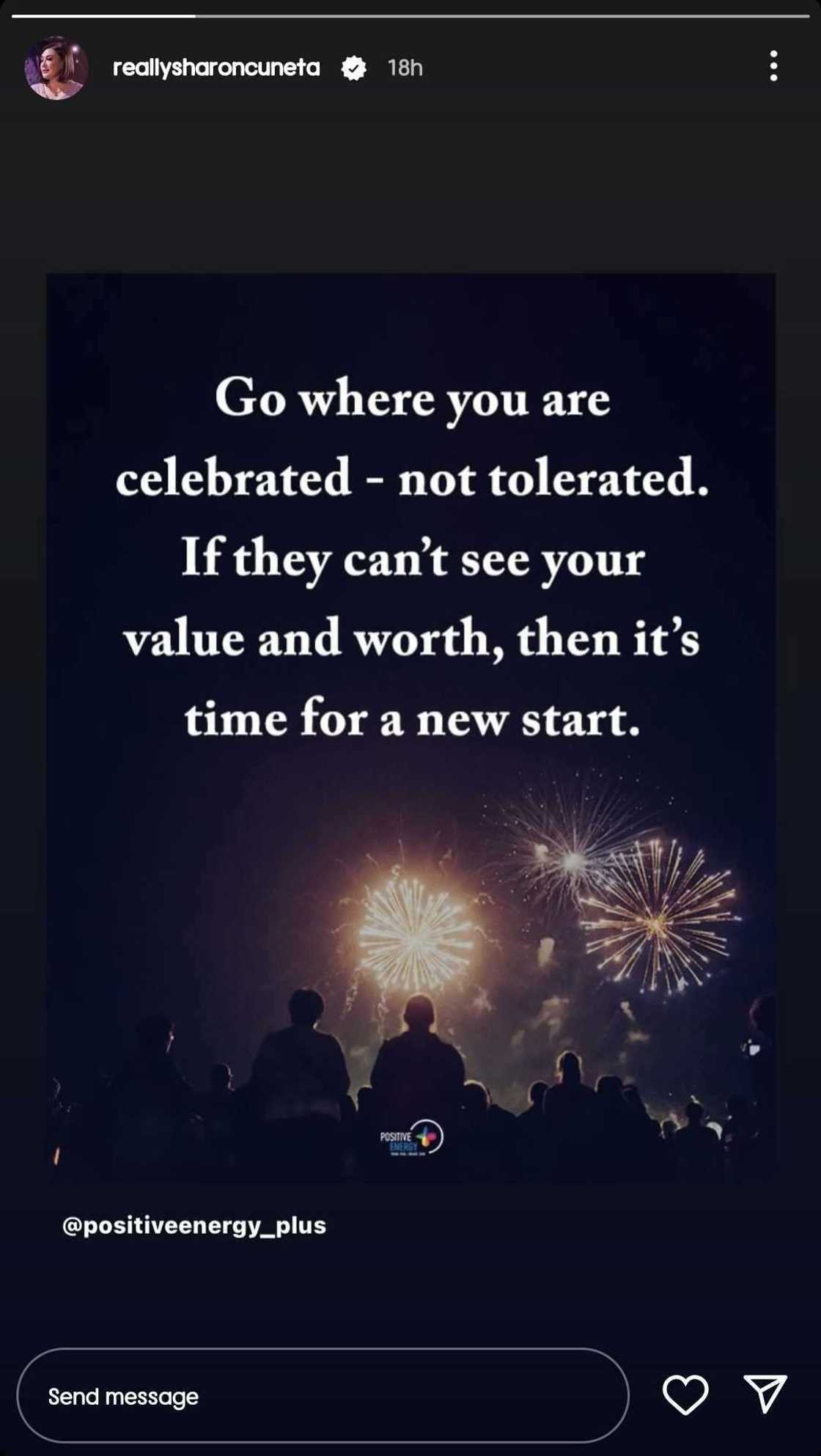 Sharon Cuneta shares a quote: "Go where you are celebrated, not tolerated" Sharon Cuneta shares a quote: "Go where you are celebrated, not tolerated"