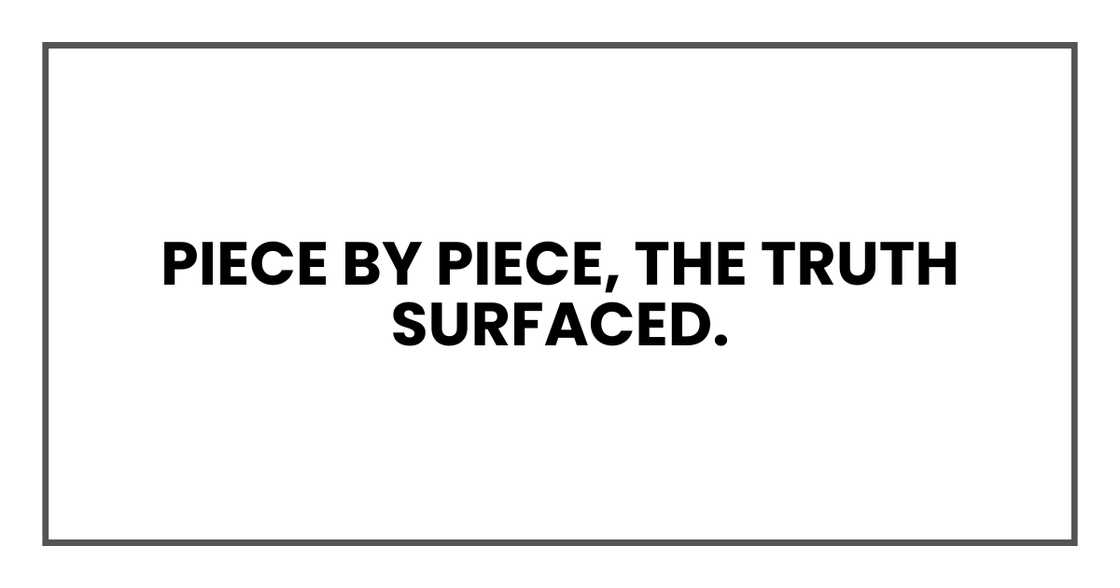Piece by piece, the truth surfaced. Piece by piece, the truth surfaced.
