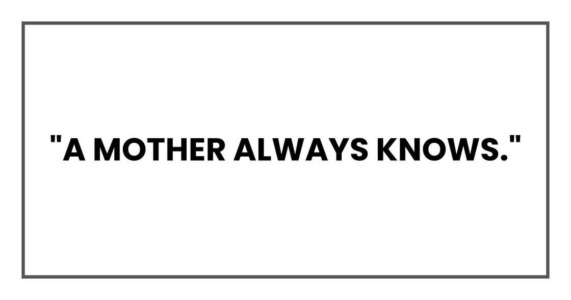 "You'd know if he wasn't. A mother always knows." "You'd know if he wasn't. A mother always knows."