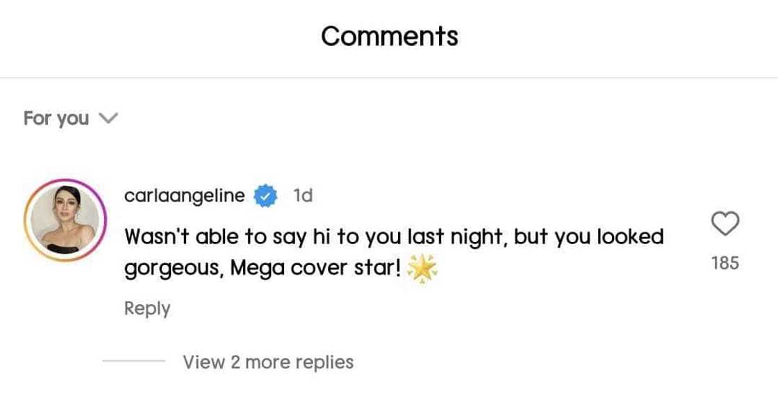 Carla Abellana gushes over Heart Evangelista's beauty: "You looked gorgeous" Carla Abellana gushes over Heart Evangelista's beauty: "You looked gorgeous"