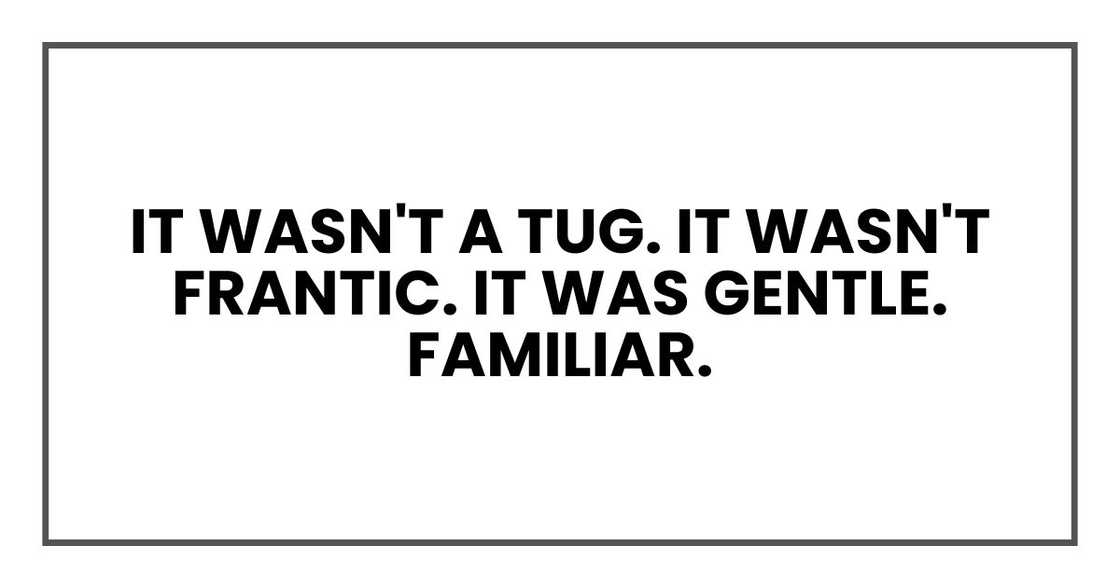 It wasn't a tug. It wasn't frantic. It was gentle. Familiar.