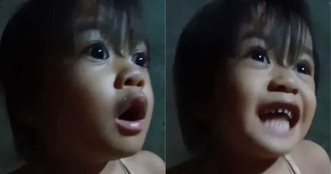 Video ng batang tila sinisermunan ang kanyang kuya, kinagiliwan online Video ng batang tila sinisermunan ang kanyang kuya, kinagiliwan online
