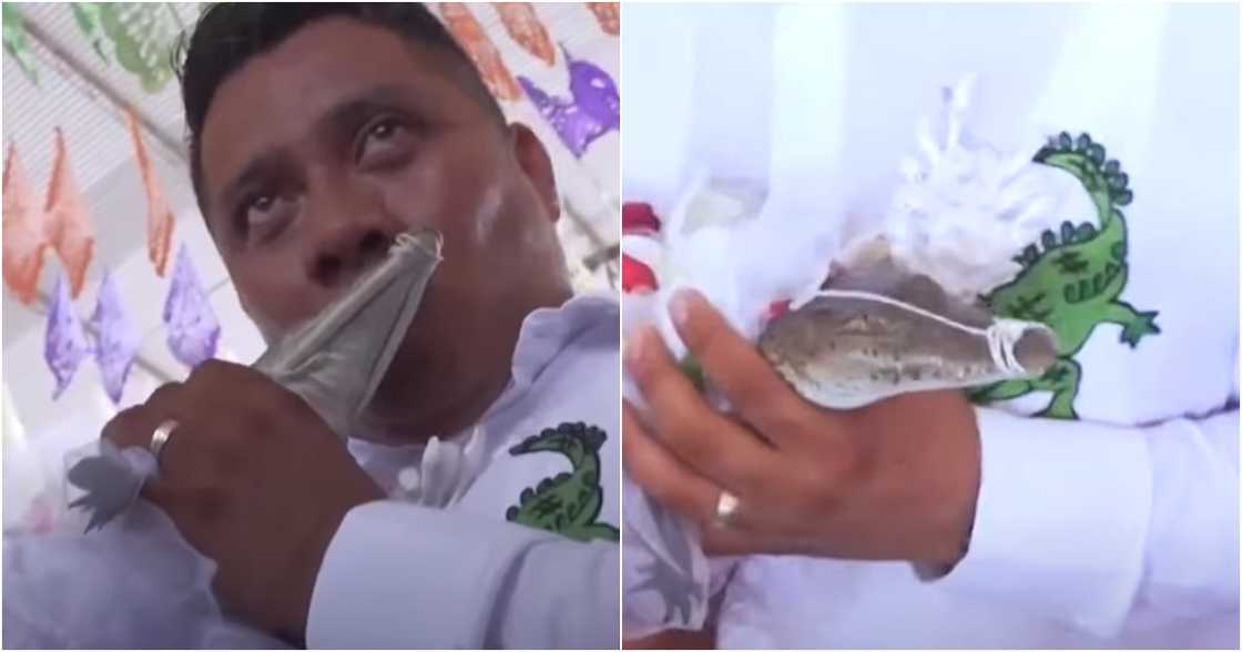 Balitanghali/GMA Network/GMA Integrated News on YouTube Balitanghali/GMA Network/GMA Integrated News on YouTube