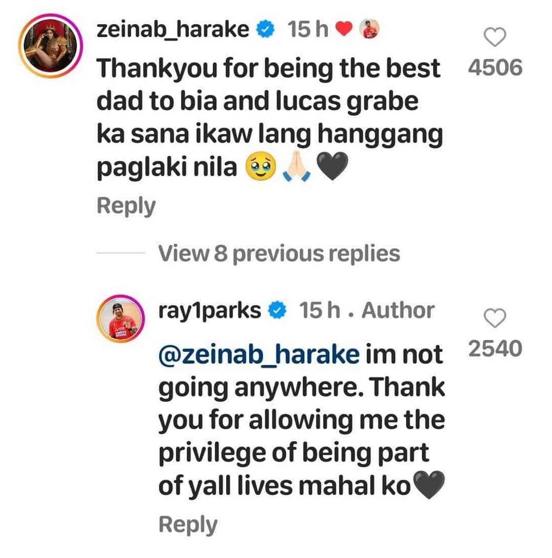Zeinab Harake thanks Ray Parks for being the best dad to her kids; Ray pens heartfelt reply Zeinab Harake thanks Ray Parks for being the best dad to her kids; Ray pens heartfelt reply
