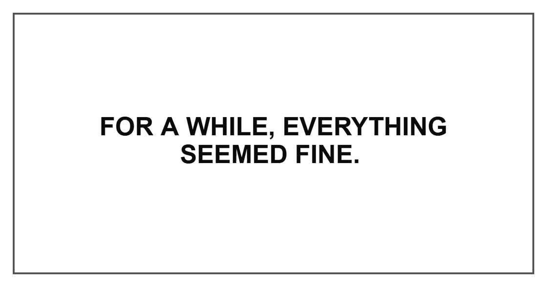For a while, everything seemed fine. For a while, everything seemed fine.