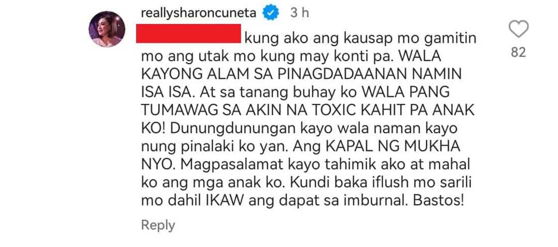 Sharon Cuneta, nilampaso ang netizen: "Kung ako kausap mo gamitin mo utak mo kung may konti pa"