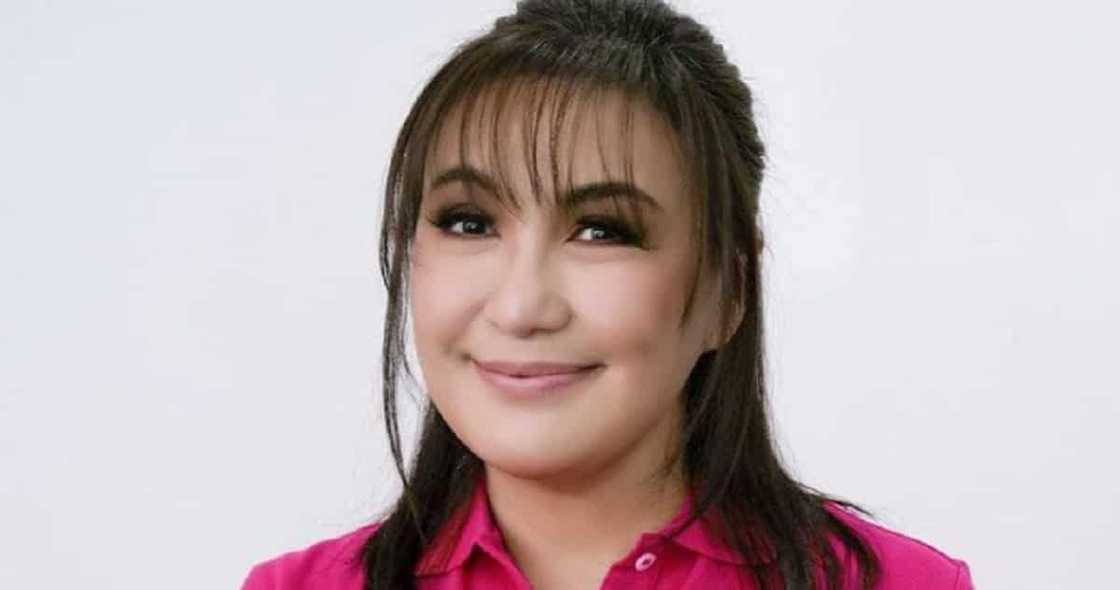 Gladys Guevarra slams Sharon Cuneta’s comments against Panelo Gladys Guevarra slams Sharon Cuneta’s comments against Panelo