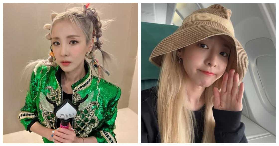 Sandara Sandara