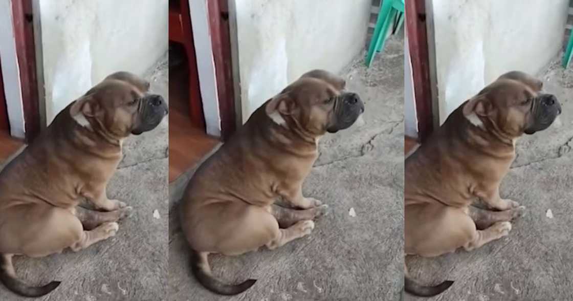 Photo: Screengrab from 24 Oras of GMA News Photo: Screengrab from 24 Oras of GMA News