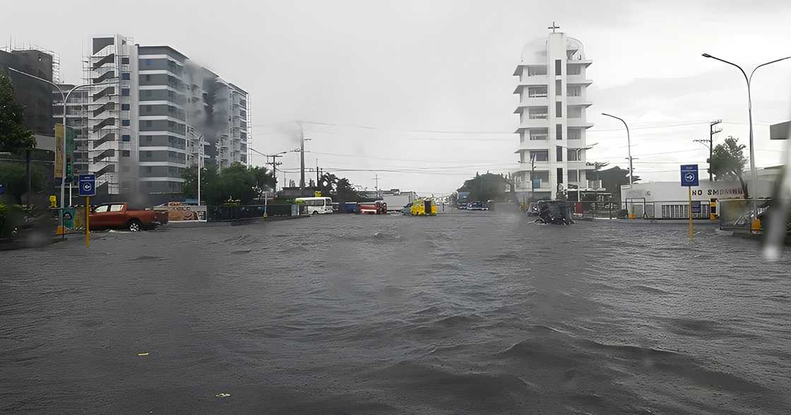 Heavy rains made Bacolod reclamation area look like a ‘Sea,’ stranding motorists Heavy rains made Bacolod reclamation area look like a ‘Sea,’ stranding motorists
