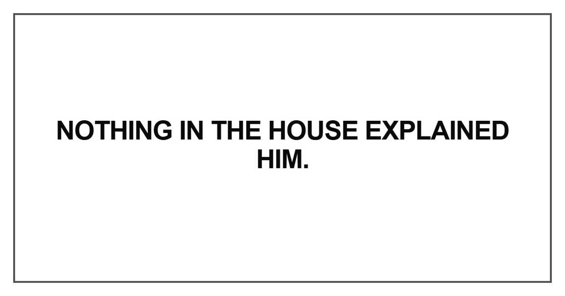 Nothing in the house explained him