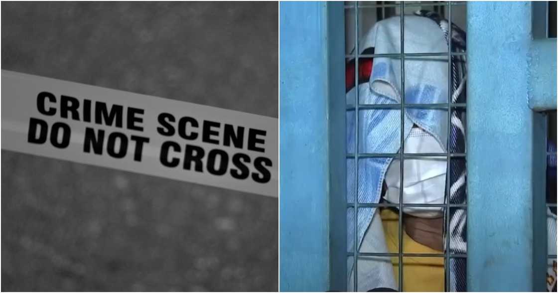 Mark D'aiuto on Pexels
Unang Balita/GMA-7/GMA Integrated News on YouTube Mark D'aiuto on Pexels
Unang Balita/GMA-7/GMA Integrated News on YouTube