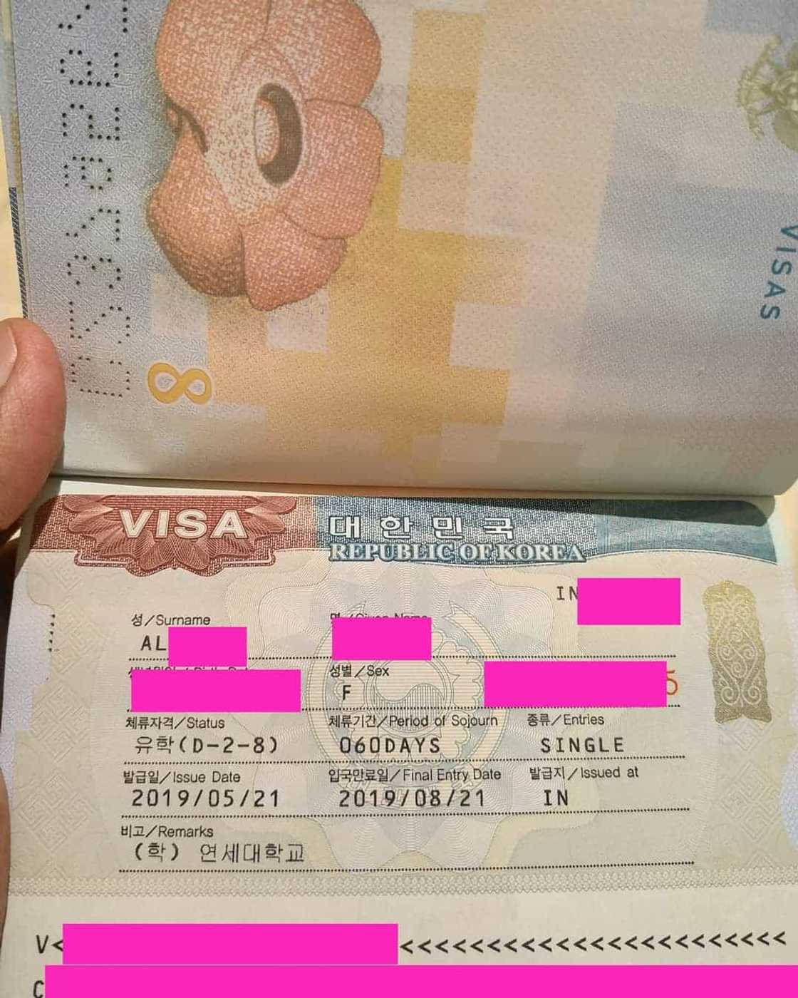 Korean visa requirements
