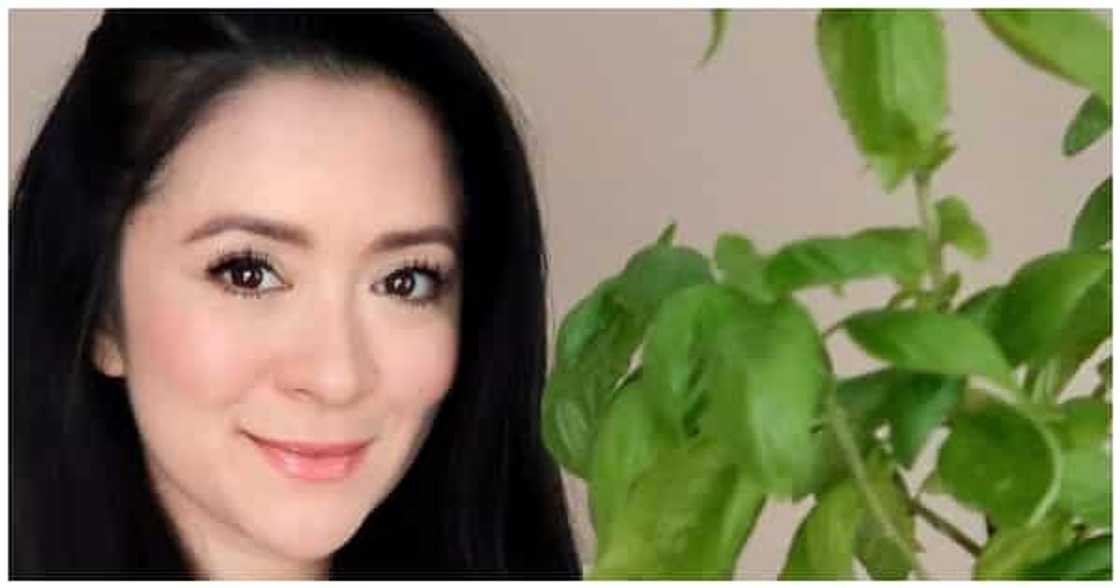 Antoinette Taus/@antoinettetaus Antoinette Taus/@antoinettetaus