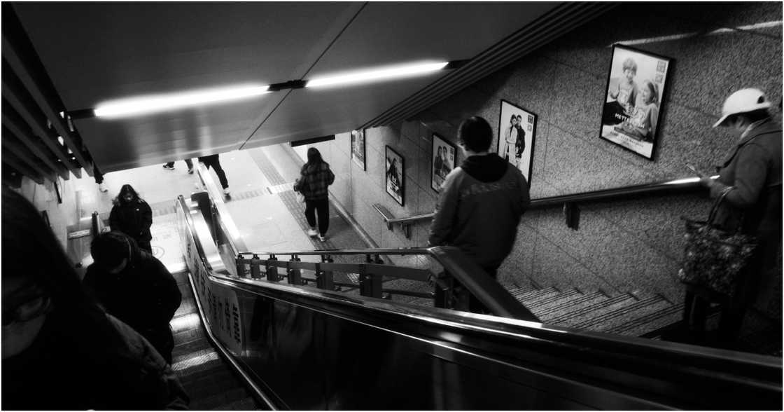 JUNLIN ZOU on Pexels JUNLIN ZOU on Pexels