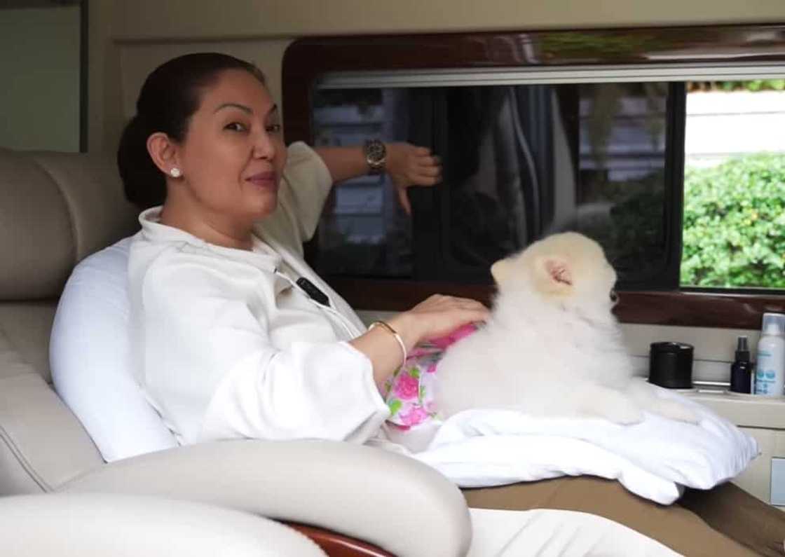 Maricel Soriano, pinasilip ang kanyang customized artista van Maricel Soriano, pinasilip ang kanyang customized artista van