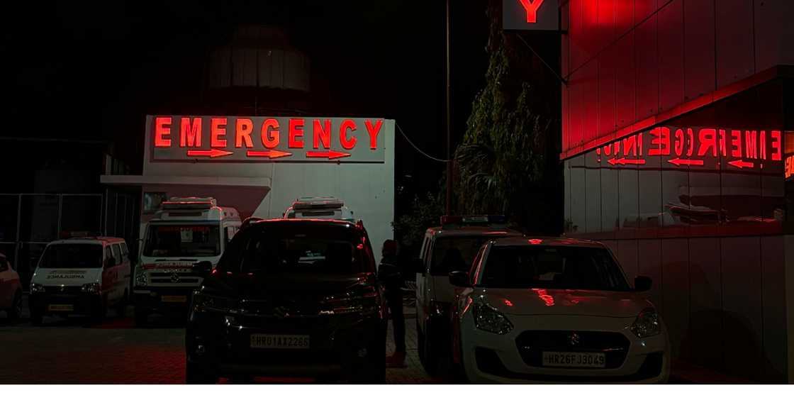 Chauhan Dixant via Pexels