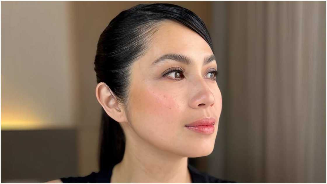 Diana Zubiri, binalikan ang nangyari sa EDSA flyover photoshoot noon