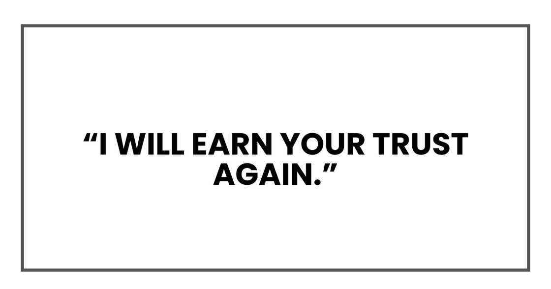 I will earn your trust again I will earn your trust again