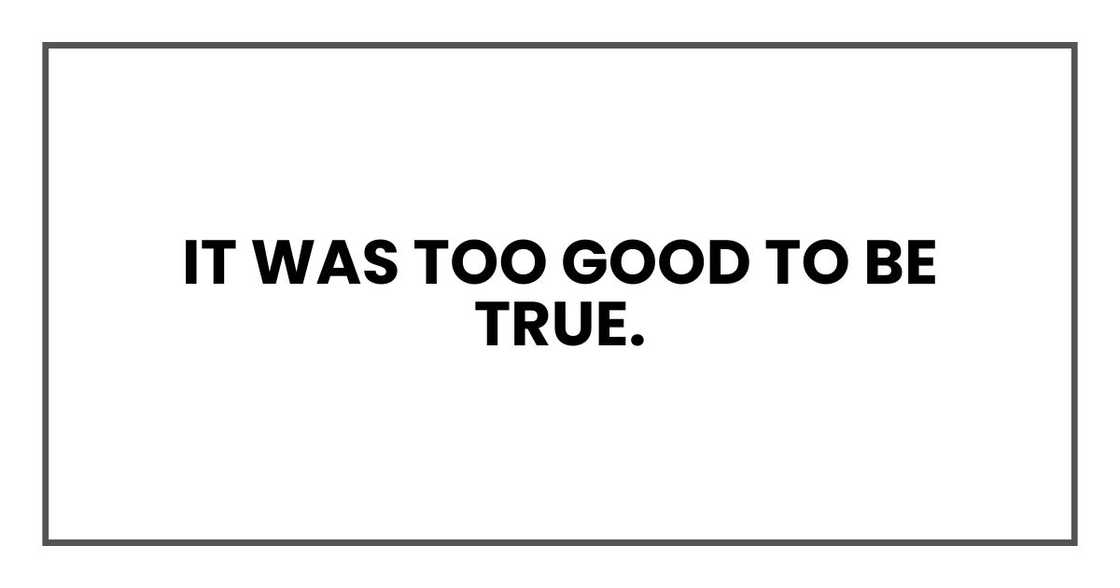 It was too good to be true. It was too good to be true.