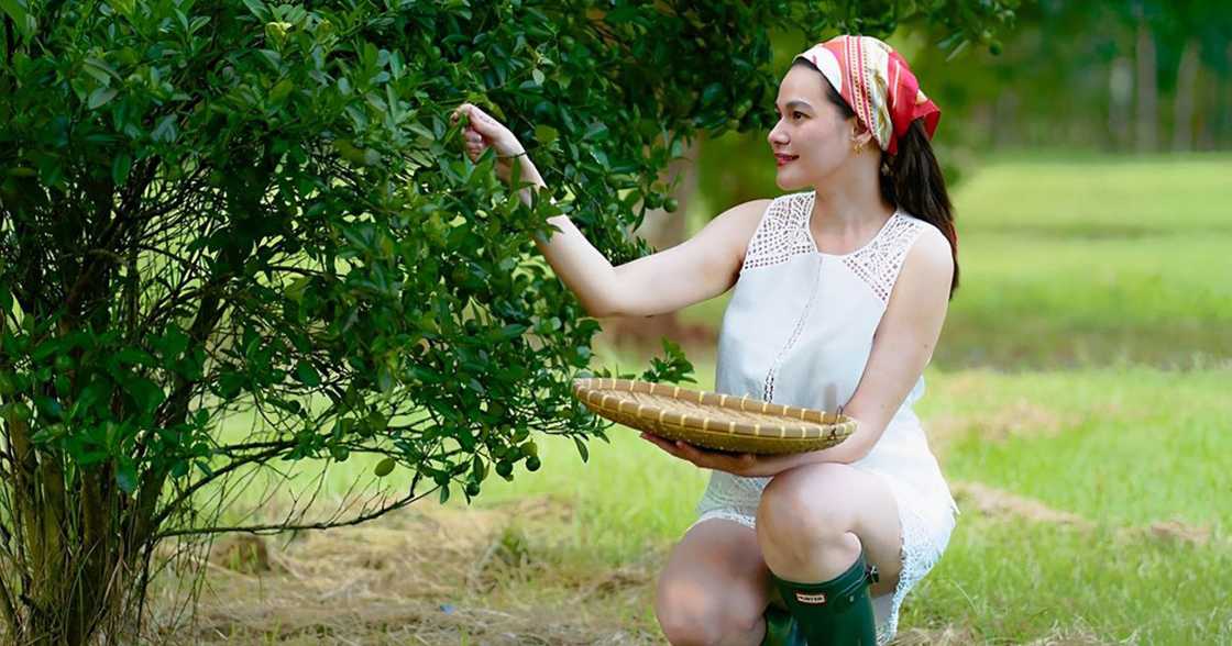 Bea Alonzo, ibinahagi ang ilang bagay na talagang kinatatakutan niya Bea Alonzo, ibinahagi ang ilang bagay na talagang kinatatakutan niya