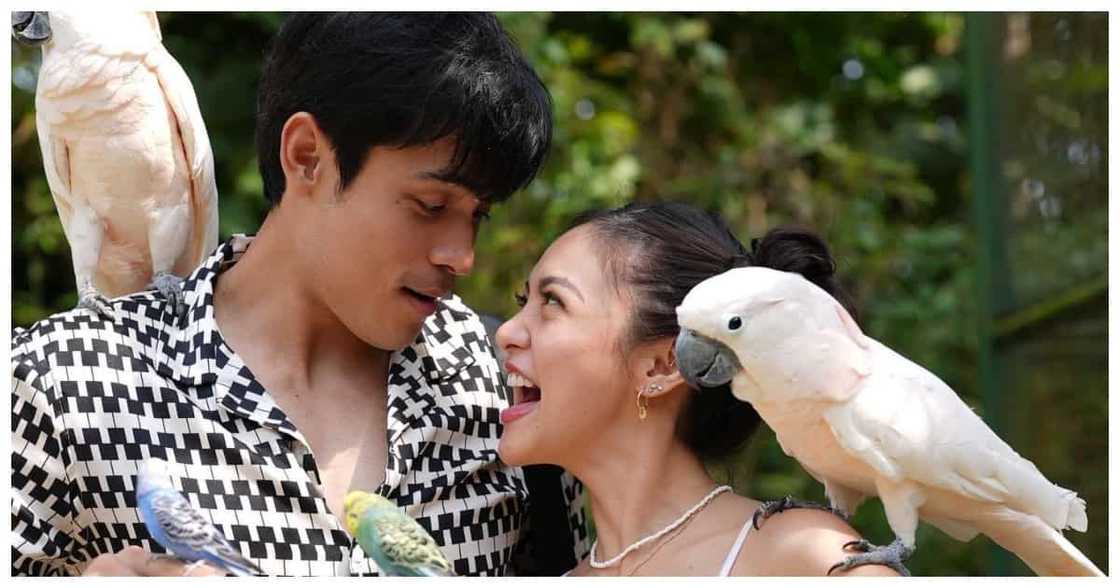 Xian Lim, sakaling bigyan ng pagkakataong makatrabaho si Kim: "why not?" Xian Lim, sakaling bigyan ng pagkakataong makatrabaho si Kim: "why not?"