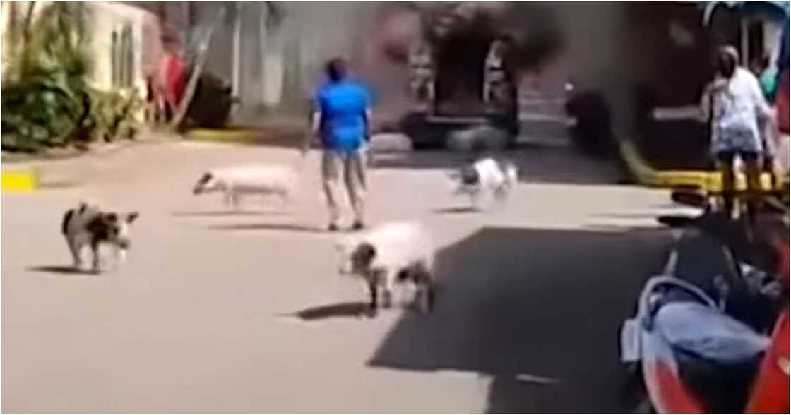 24-Oras Weekend/GMA-7/GMA Integrated News on YouTube