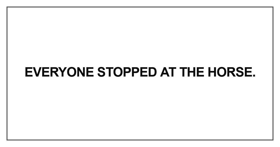 Everyone stopped at the horse. Everyone stopped at the horse.