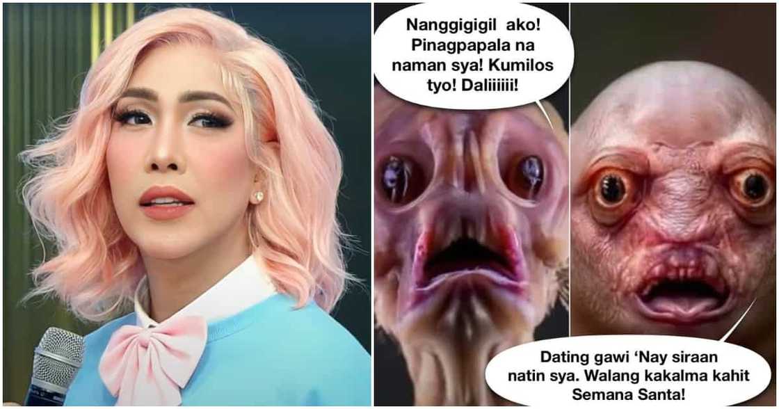 Vice Ganda, muling nagbahagi ng meme tungkol sa mga taong naninira Vice Ganda, muling nagbahagi ng meme tungkol sa mga taong naninira