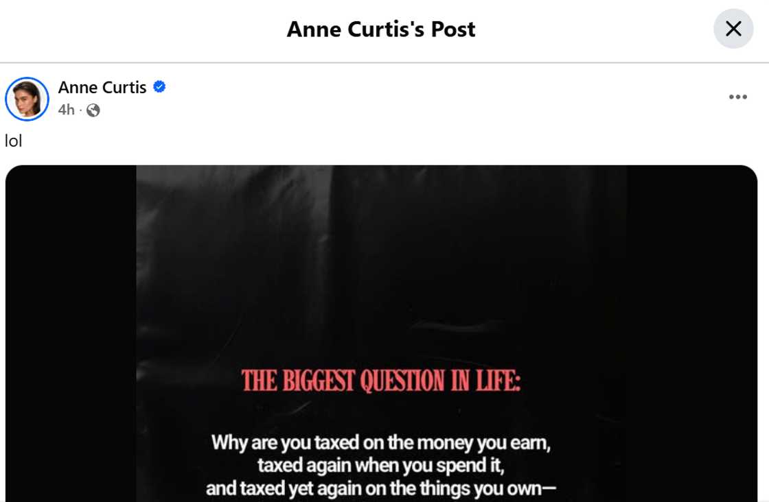 Photo: Anne Curtis Photo: Anne Curtis