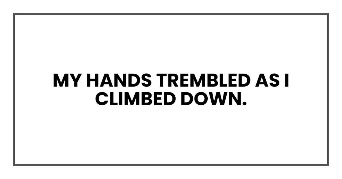 My hands trembled as I climbed down. My hands trembled as I climbed down.