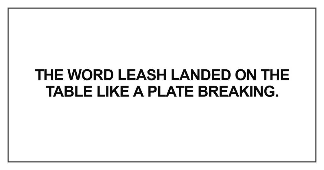 The word leash landed The word leash landed